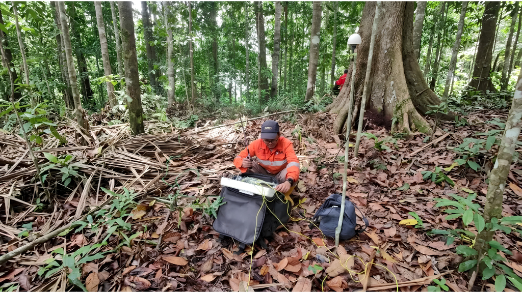 Geophysicists conducting a CSAMT Survey for mineral exploration using electromagnetic equipment in an Indonesian mining project