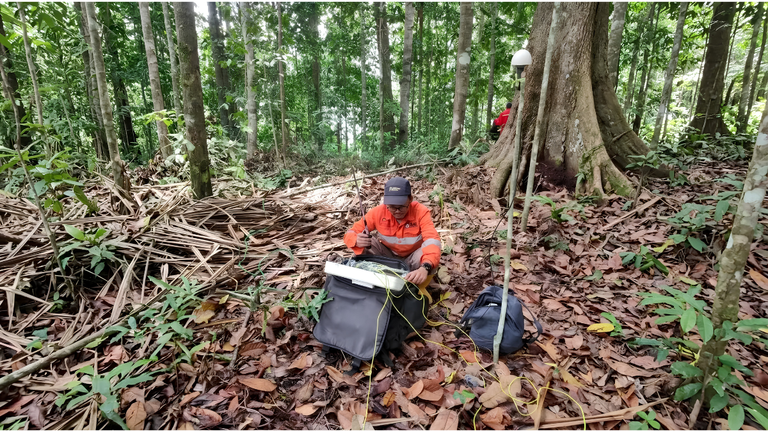 Geophysicists conducting a CSAMT Survey for mineral exploration using electromagnetic equipment in an Indonesian mining project